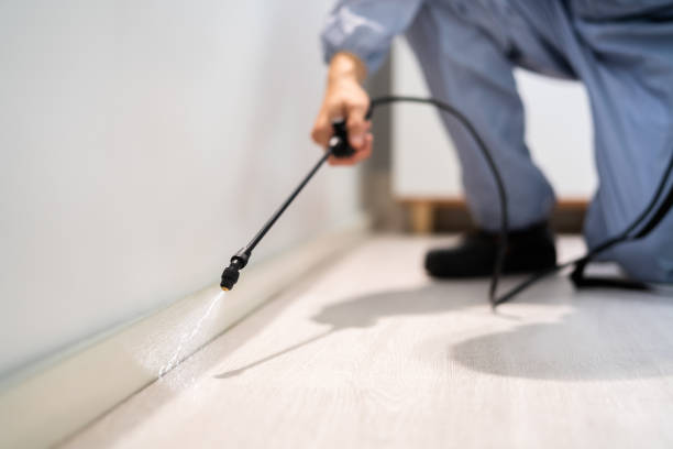 Licensed Pest Control service in Alpharetta, GA - Show Me Pest Control