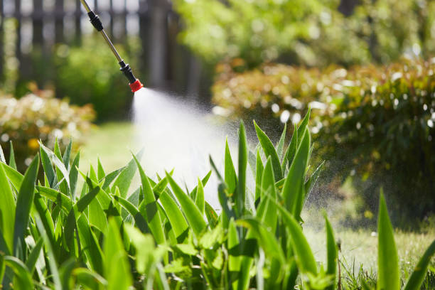 Tamper-Resistant Bait Stations for Rodents in Alpharetta