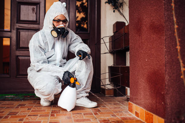 Attic and Crawl Space Rodent Treatment in Alpharetta