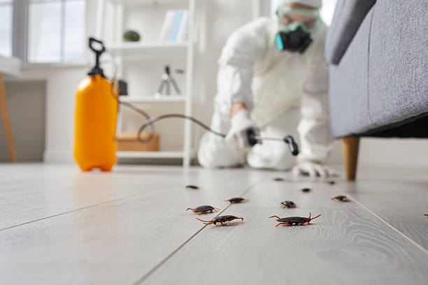 Commercial Rodent Management in Alpharetta